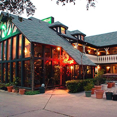 Edelweiss Inn New Braunfels Kültér fotó